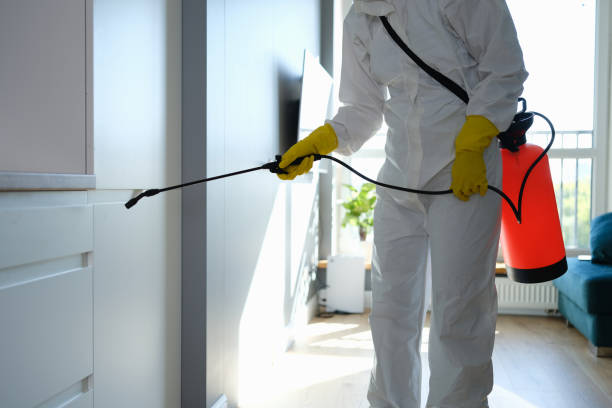 Best Residential Mold Remediation in Panhandle, TX