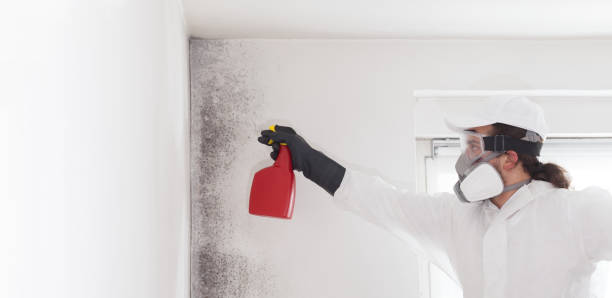Best Mold Remediation for Specific Building Types in Panhandle, TX